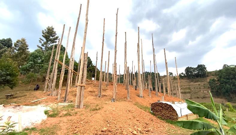Foundation poles standing on the hillside